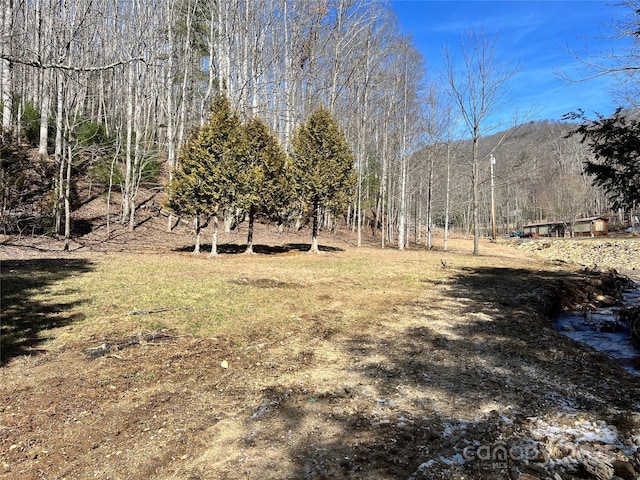 1087 Plum Branch Rd, Burnsville NC, 28714 land for sale