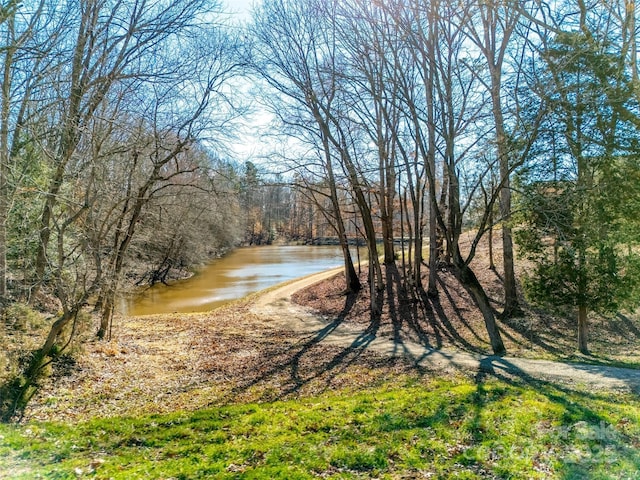1024 Mayapple Way, Belmont, NC 28012 - photo 30