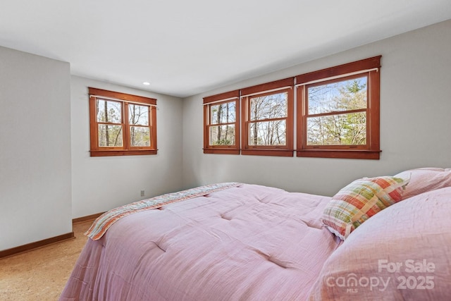 14 Woods Rd, Fairview, NC 28730 - bedroom featuring carpet flooring and recessed lighting