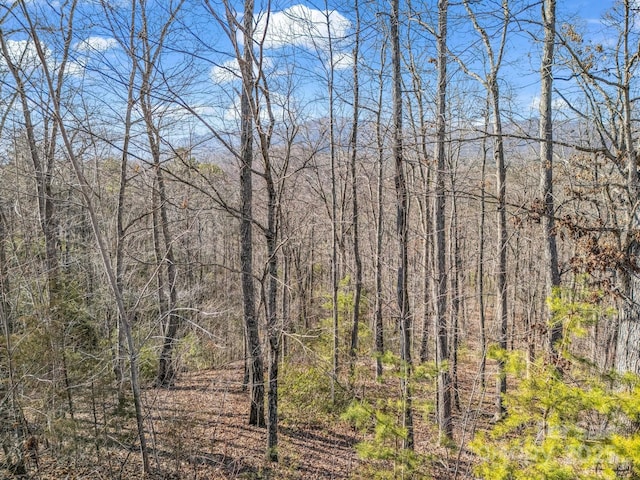 0 Golden Ridge Dr, Lake Lure NC, 28746 land for sale