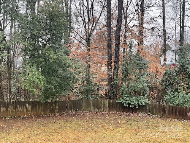4922 Rivergreen Ln, Charlotte, NC 28227 - view of yard featuring fence