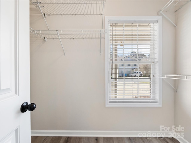 spacious closet with hardwood / wood-style flooring