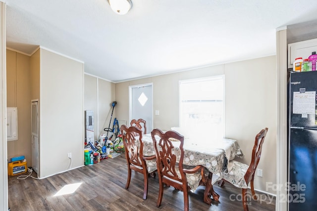 dining space featuring dark wood-type flooring and ornamental molding