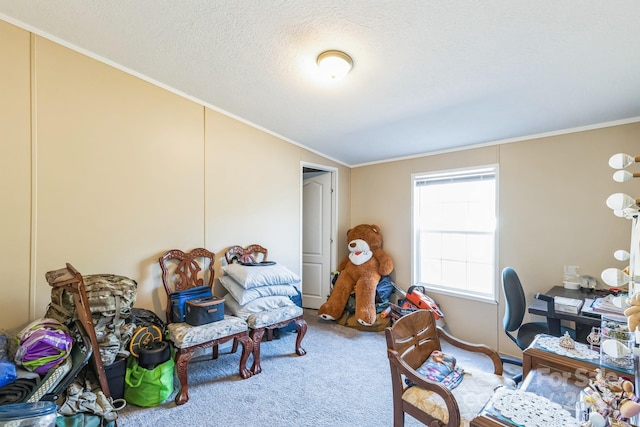 carpeted office with a textured ceiling, lofted ceiling, and crown molding