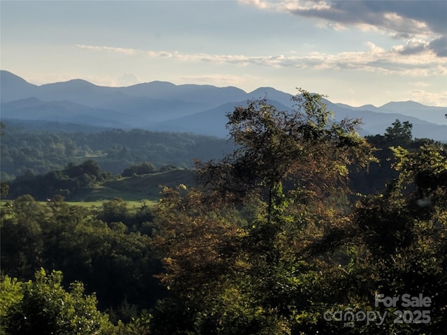 mountain view featuring a wooded view