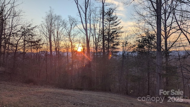 view of nature at dusk