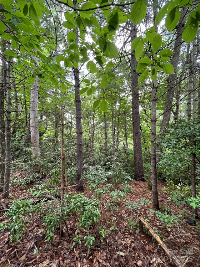 33 Woodglen Ct, Flat Rock, NC 28731