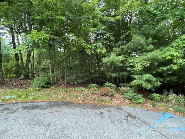 33 Woodglen Ct, Flat Rock, NC 28731