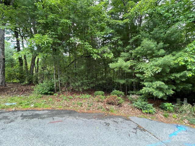 33 Woodglen Ct, Flat Rock, NC 28731