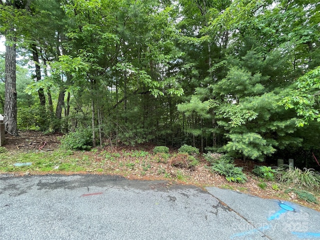 33 Woodglen Ct, Flat Rock, NC 28731