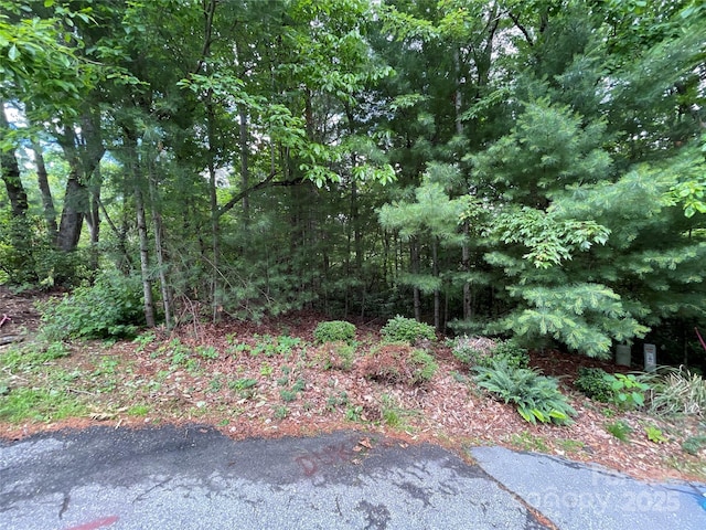 33 Woodglen Ct, Flat Rock, NC 28731