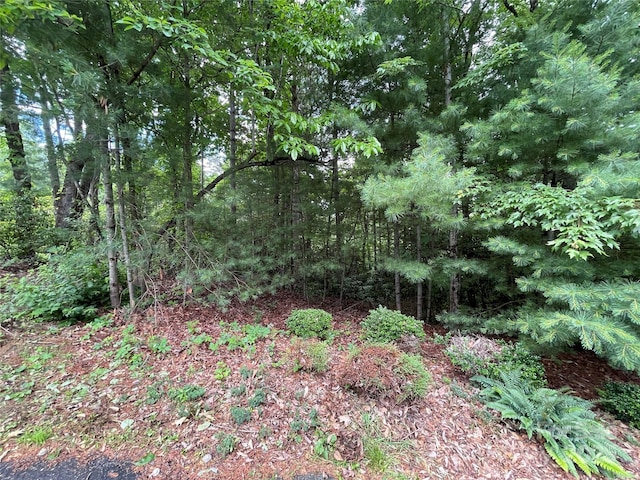 33 Woodglen Ct, Flat Rock, NC 28731