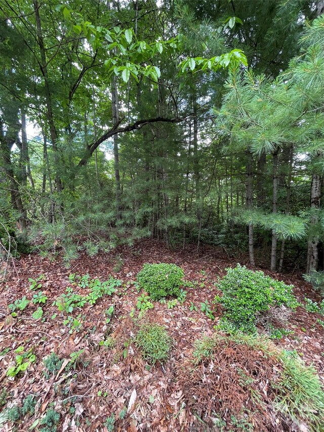 33 Woodglen Ct, Flat Rock, NC 28731