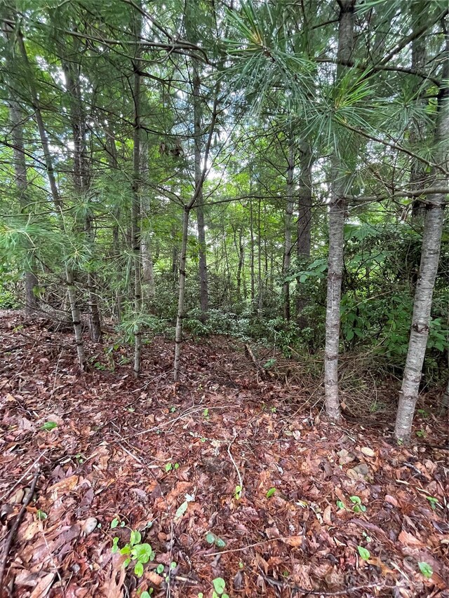 33 Woodglen Ct, Flat Rock, NC 28731