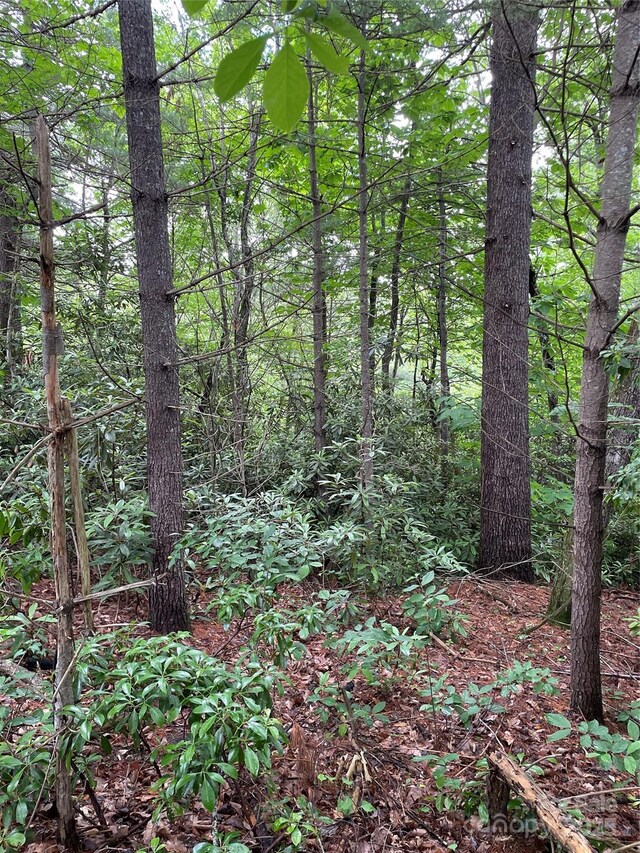 33 Woodglen Ct, Flat Rock, NC 28731
