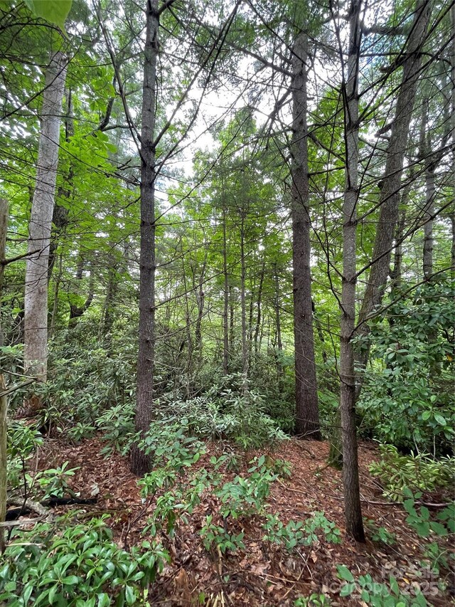 33 Woodglen Ct, Flat Rock, NC 28731
