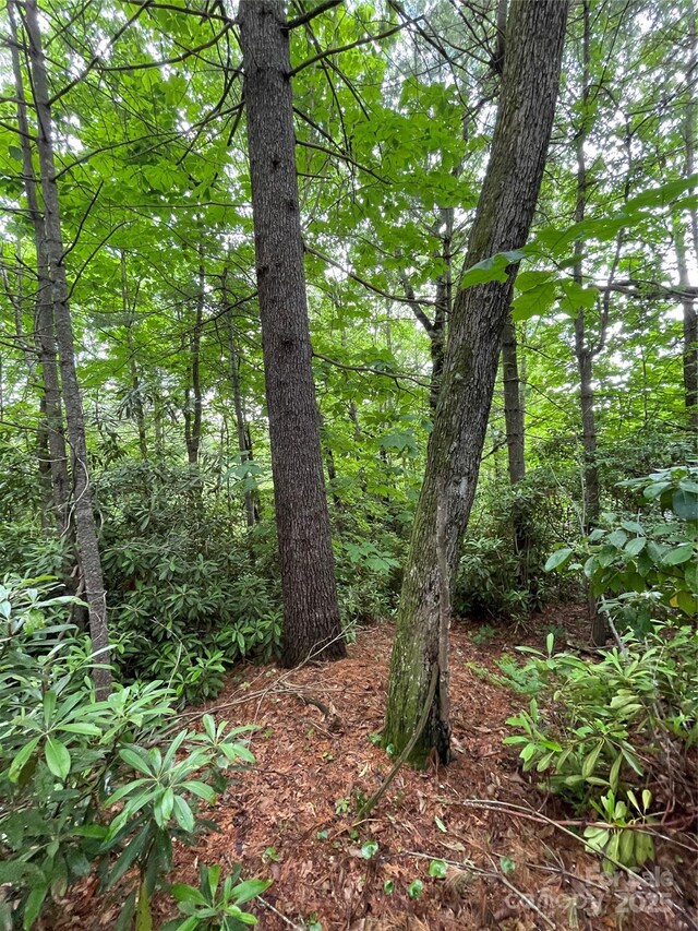 33 Woodglen Ct, Flat Rock, NC 28731