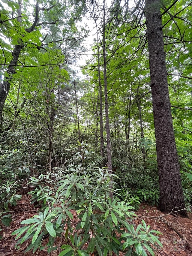 33 Woodglen Ct, Flat Rock, NC 28731