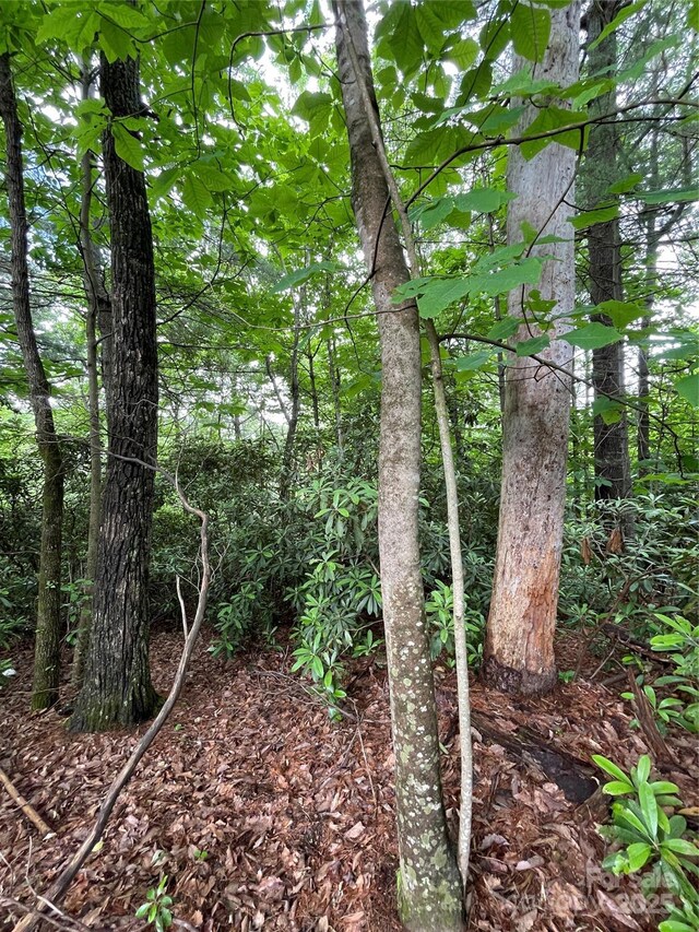 33 Woodglen Ct, Flat Rock, NC 28731