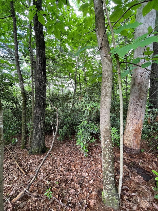 33 Woodglen Ct, Flat Rock, NC 28731