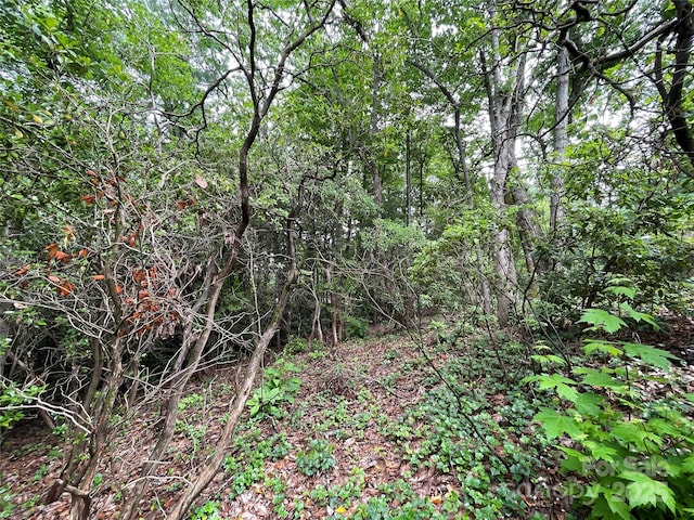 33 Woodglen Ct, Flat Rock, NC 28731