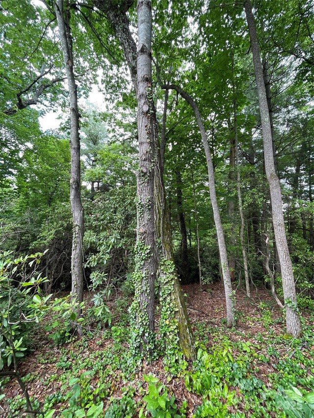33 Woodglen Ct, Flat Rock, NC 28731