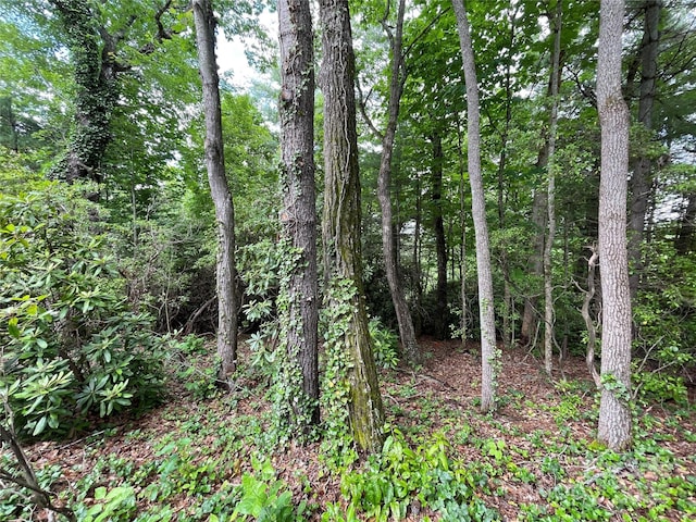 33 Woodglen Ct, Flat Rock, NC 28731
