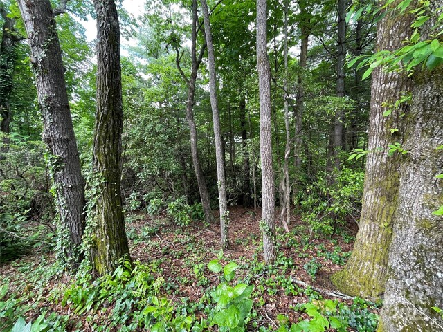 33 Woodglen Ct, Flat Rock, NC 28731