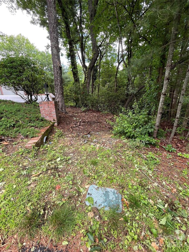 33 Woodglen Ct, Flat Rock, NC 28731