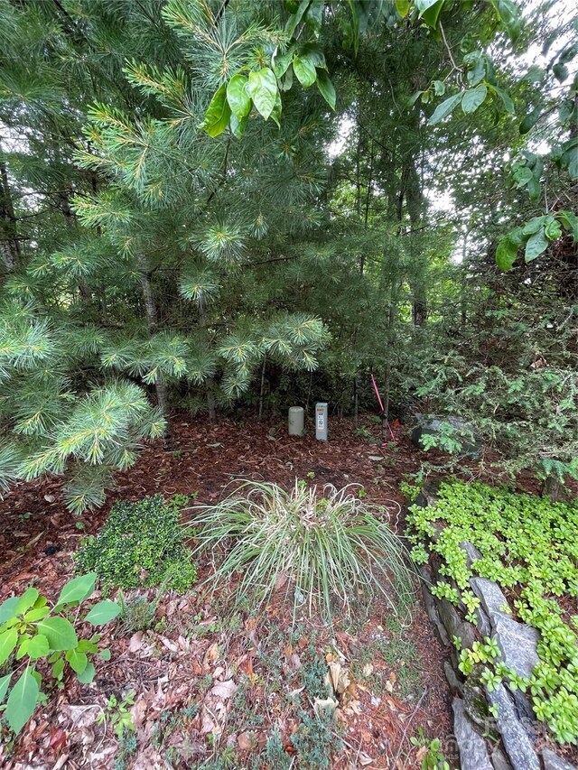 33 Woodglen Ct, Flat Rock, NC 28731