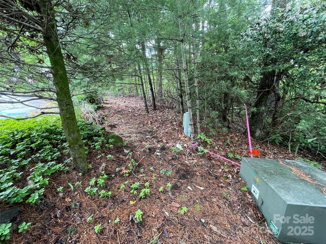 33 Woodglen Ct, Flat Rock, NC 28731