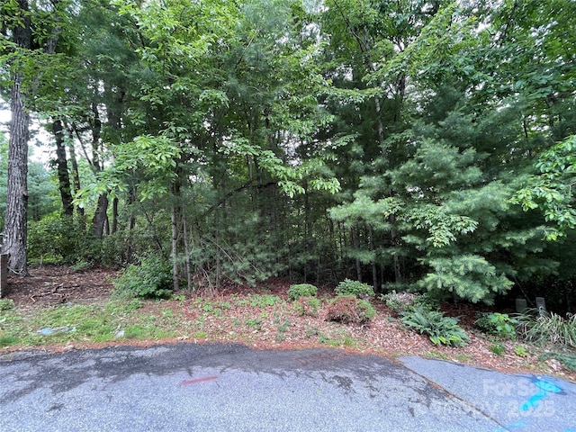33 Woodglen Ct, Flat Rock, NC 28731