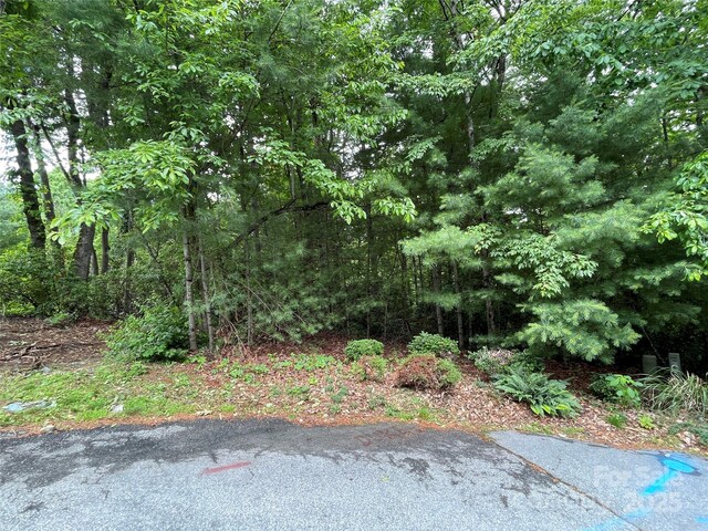33 Woodglen Ct, Flat Rock, NC 28731