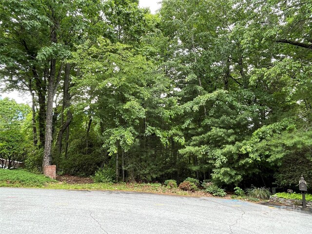 33 Woodglen Ct, Flat Rock, NC 28731