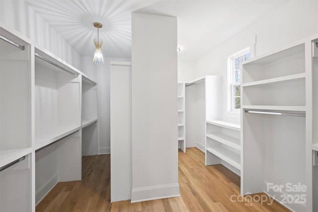 walk in closet with light wood-style flooring