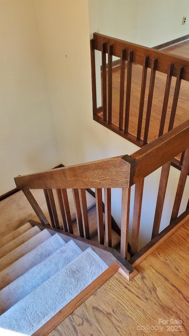 14 Glen Cannon Pt Unit 2, Pisgah Forest, NC 28768 - photo 20