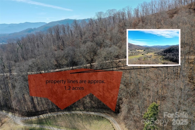 00 Sleepy Hollow Dr, Waynesville NC, 28785 land for sale