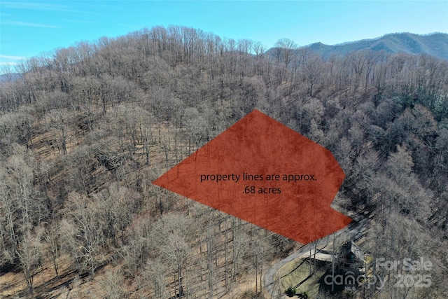 9 Pointer Trl, Waynesville NC, 28786 land for sale