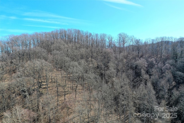 Listing photo 3 for 9 Pointer Trl, Waynesville NC 28786