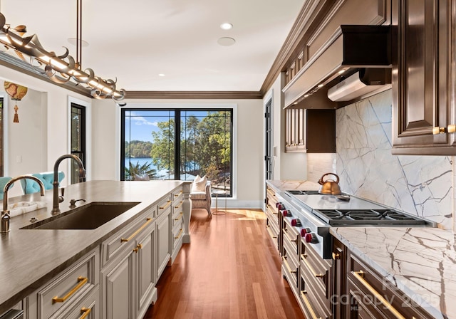 kitchen with stainless steel gas stovetop, dark brown cabinetry, sink, ornamental molding, and dark wood-type flooring