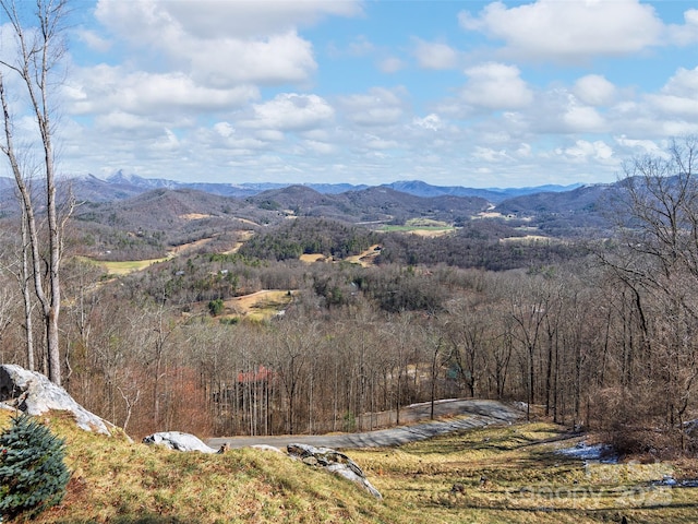 view of mountain feature featuring a view of trees