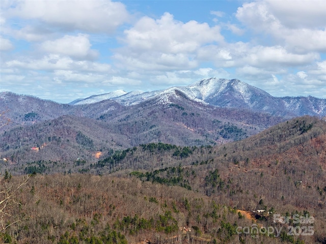 view of mountain feature