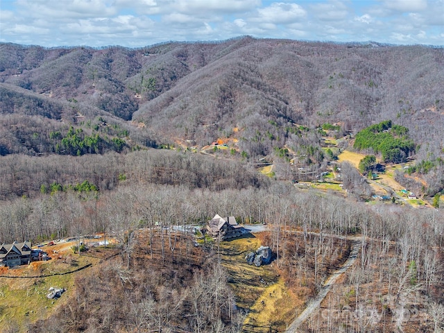 view of mountain feature featuring a view of trees