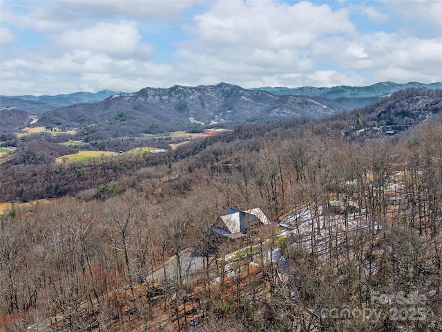 property view of mountains