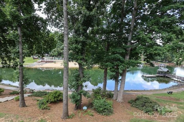 view of water feature with a dock