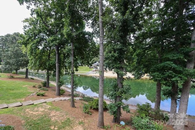 view of water feature