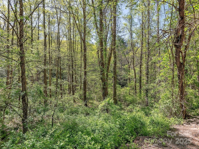 99999 Bob Barnwell Rd, Asheville, NC 28803 - photo 4