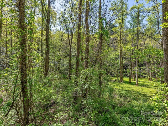 99999 Bob Barnwell Rd, Asheville, NC 28803 - photo 5