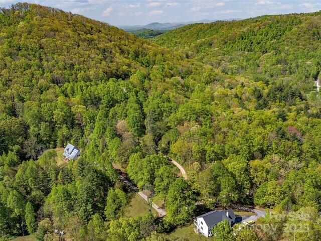 99999 Bob Barnwell Rd, Asheville, NC 28803 - photo 6