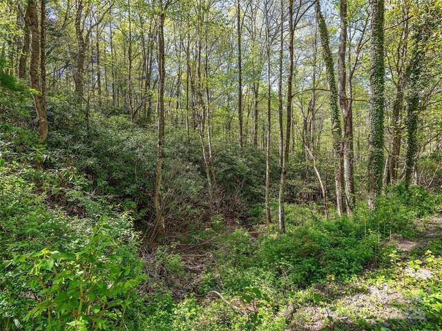 99999 Bob Barnwell Rd, Asheville, NC 28803 - photo 7